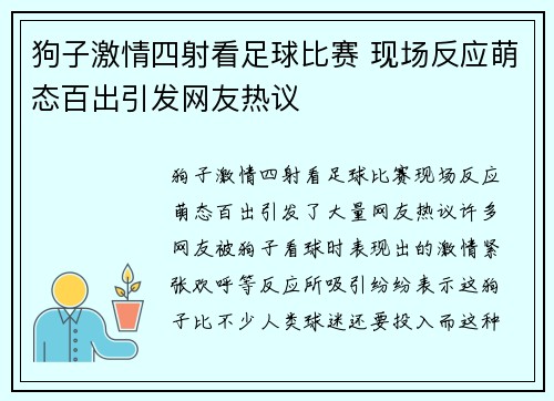 狗子激情四射看足球比赛 现场反应萌态百出引发网友热议